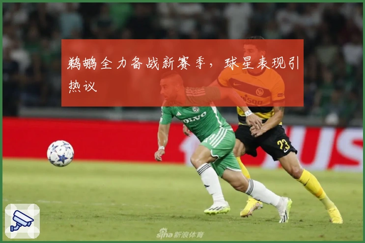 鹈鹕全力备战新赛季，球星表现引热议